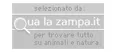 qualazampa
