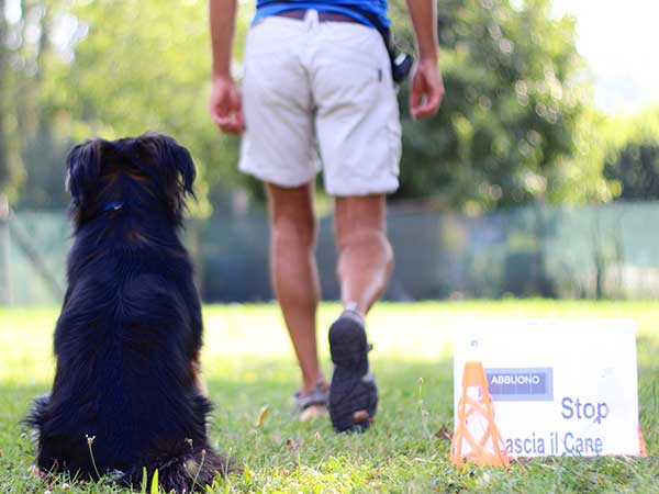 attivita rally obedience